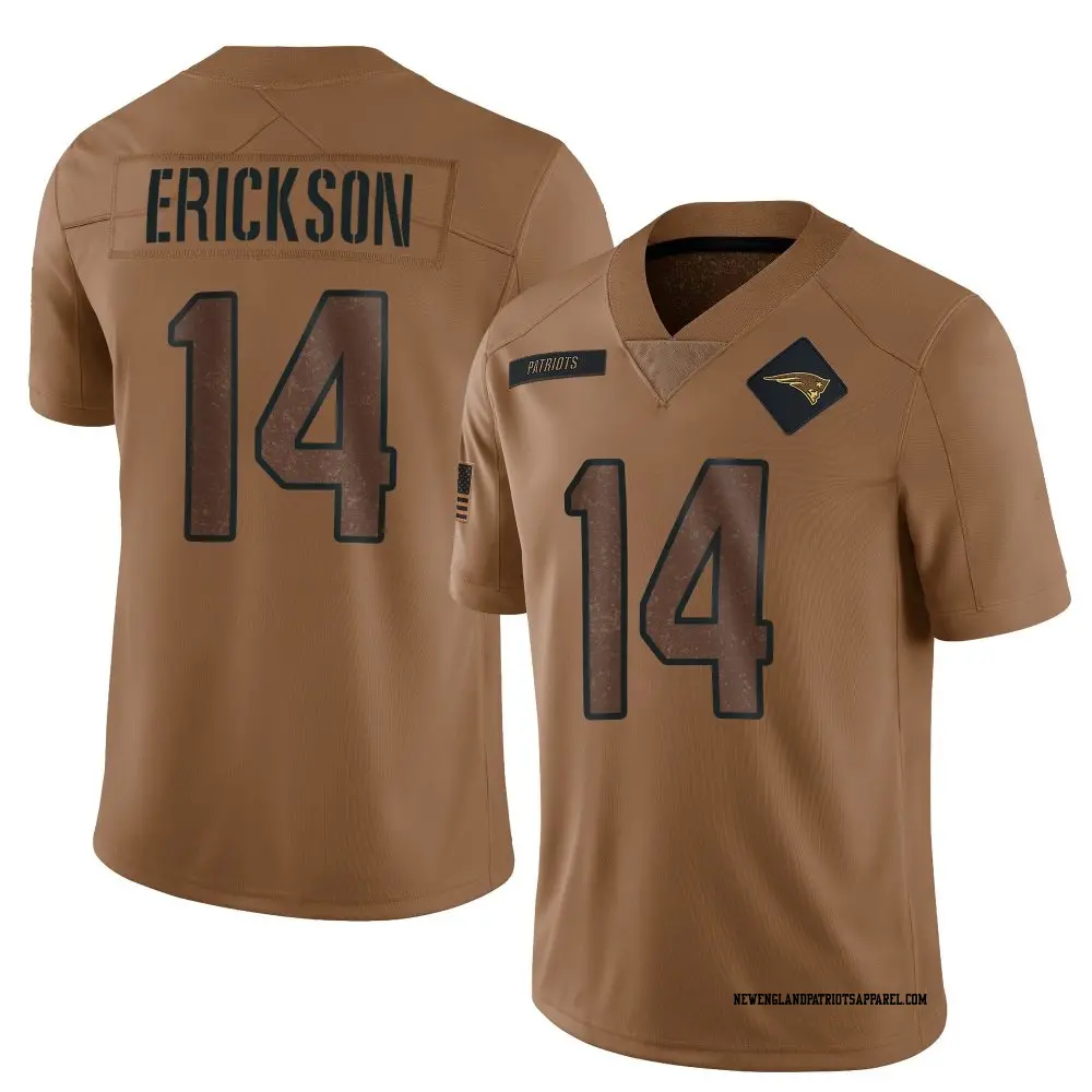 Limited Brown Men's Alex Erickson New England Patriots 2023 Salute To Service Jersey